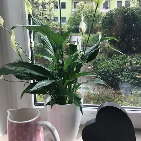 Ferienwohnung Jenaer Strasse Erfurt Zewnętrze zdjęcie