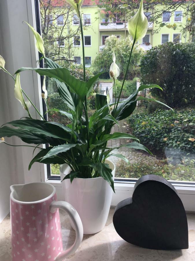 Jenaer Strasse Apartment *